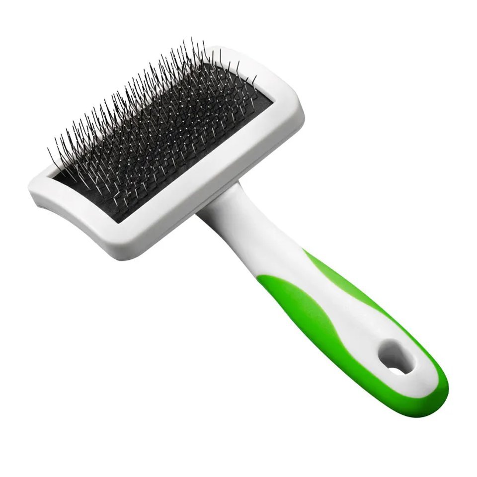 RASQUETA PERRO ESTUCHE AA1071