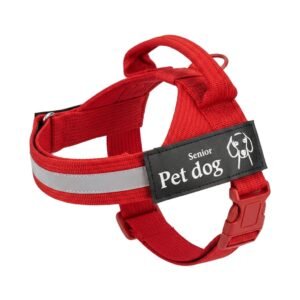 COLLAR PERRO GRANDE