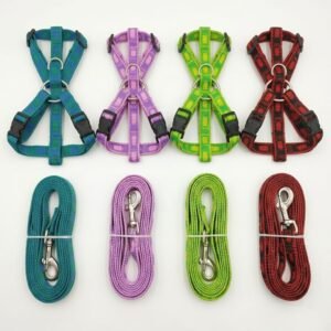 COLLAR PERRO TOOLS PEQUEÑO