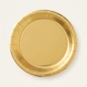PLATO METAL X10 10P-02CTG-24 A9 REF:9143.5