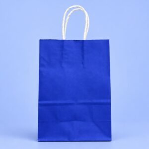 BOLSA PAPEL COLOR 09-16
