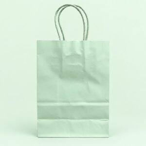 BOLSA PAPEL COLOR 09-17