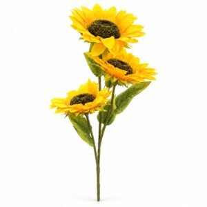 GIRASOL TALLO LARGO X3 02H-08CTG-25 A9 REF:90410