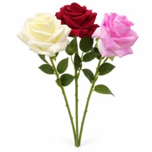 ROSA X1 02H-06CTG-25 A9 REF:9043.8